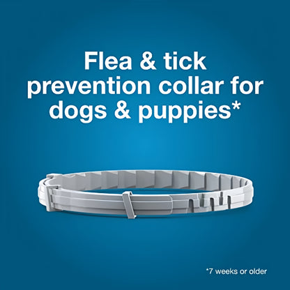 Seresto Flea & Tick Collar for Dogs